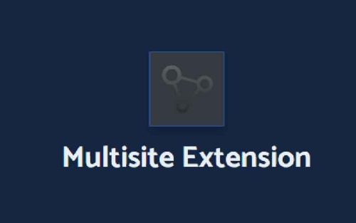 All in one wp migration multisite extension