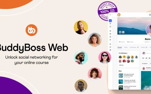 Buddyboss Theme Makes The BuddyBoss Platform Look Beautiful